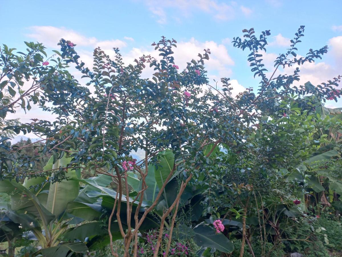 Homestay Hoang Vu Ha Giang Εξωτερικό φωτογραφία