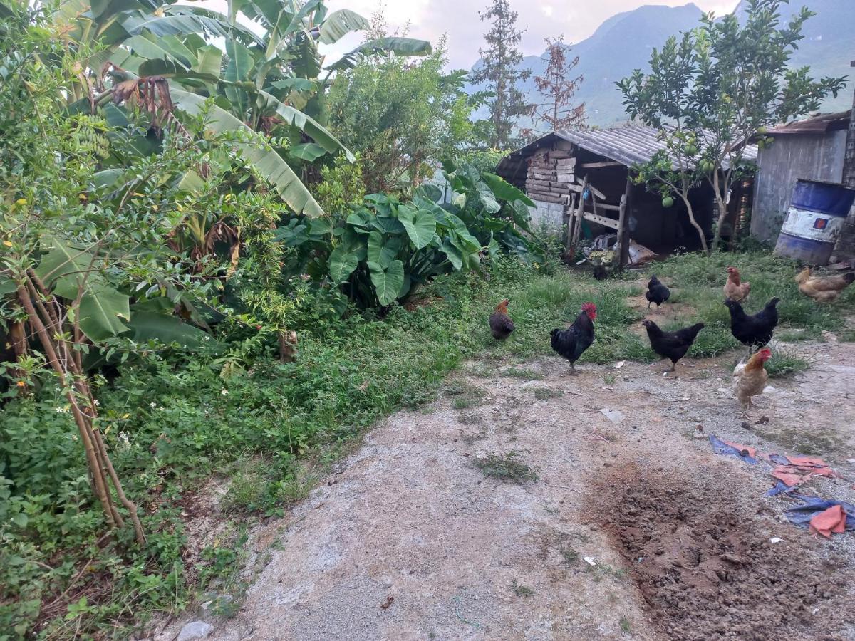 Homestay Hoang Vu Ha Giang Εξωτερικό φωτογραφία